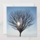 Search for sun shining cards Sky