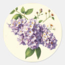 Search for lilac flower stickers Lilacs