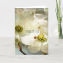 Search for white dogwood cards Floral