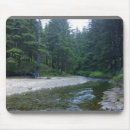 Search for oregon state mousepads Coast