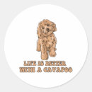 Search for cavapoo stickers Pug