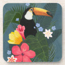 Search for wilderness coasters Jungle