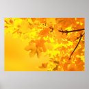 Search for yellow leafs art Landscape