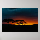 Search for serengeti posters Africa