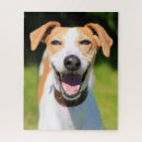 Search for dog picture puzzles Happy