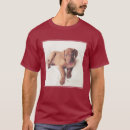 Search for blue eye clothing Cute