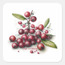Search for cranberries stickers Fresh