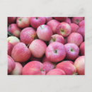 Search for orchards postcards Apple