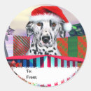 Search for dalmation stickers Pet