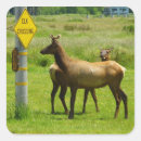 Search for wildlife photography stickers Nature