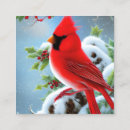 Search for cardinal bird business cards Snow