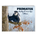 Search for primates calendars Orangutan