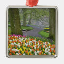 Search for holland christmas tree decorations Tulip