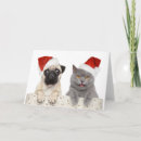 Search for friends christmas cards Animals
