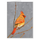 Search for branches note cards Bird