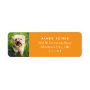 Search for oranges return address labels White