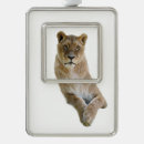Search for lioness christmas tree decorations Feline
