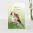 Search for sparrow cards Watercolor