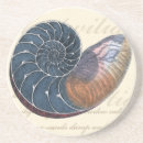 Search for romantic beach coasters Seashell