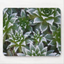 Search for freezing electronics Winter
