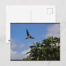 Search for wing open postcards Wildlife