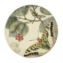 Search for dragonfly cookware Insects