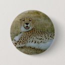 Search for cheetahs badges Wild