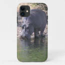 Search for hippos electronics Photography