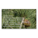Search for pine business cards Nature