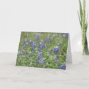 Search for bluebonnet cards Nature