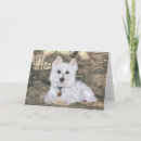 Search for maggie cards Pets