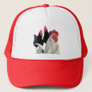 Search for chicken hats Rooster