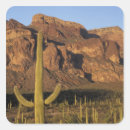 Search for pipe stickers Environment