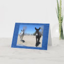 Search for veterinary school graduation cards Graduate