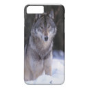 Search for grey wolf iphone cases Snow