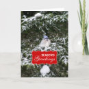 Search for blue jay card christmas cards Wildlife