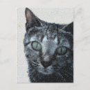 Search for love cats postcards Affection