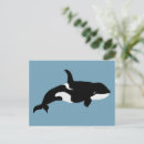 Search for orca killer whale cards Whales