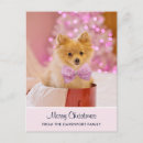 Search for dog photos postcards Puppy
