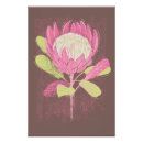 Search for protea art Exotic