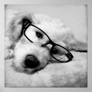 Search for goldendoodle art Pet