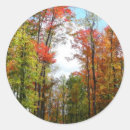 Search for autumn tree stickers Forest