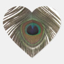 Search for peahen stickers Feathers