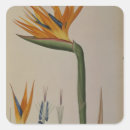 Search for regina stickers Flower