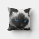 Search for siamese cat cushions Cats
