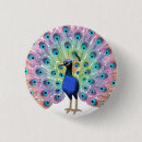 Search for peacock feather badges Cute