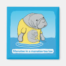 Search for manatee magnets Sea cow