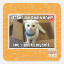 Search for take me stickers I can has cheezburger