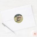 Search for palomino horse stickers Pony
