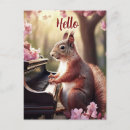 Search for cute squirrels postcards Animal